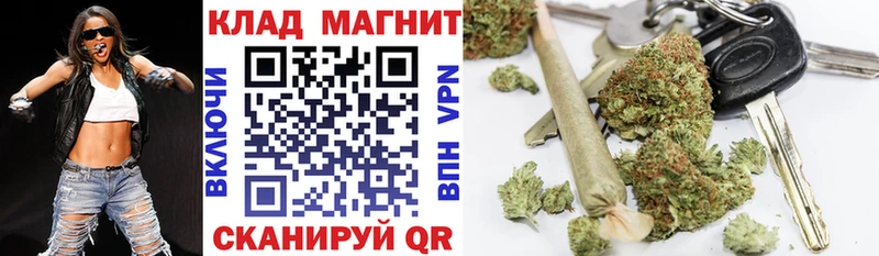 Виды наркотиков купить Жирновск Псилоцибиновые грибы  Метамфетамин  APVP  Кокаин 