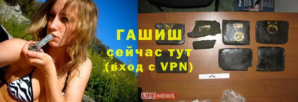 apvp Гусев