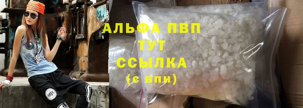 прущие грибы Вяземский