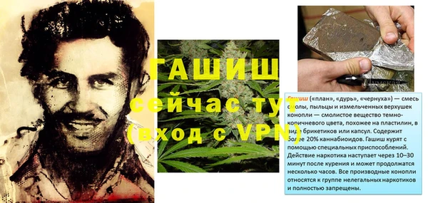 прущие грибы Вяземский