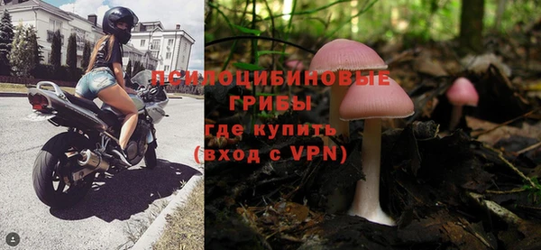 ешки Вязьма