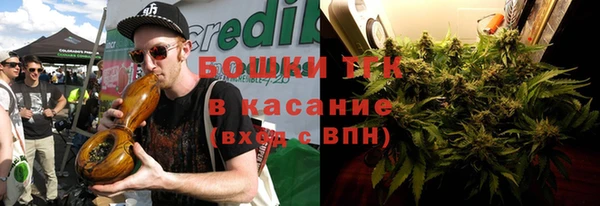 прущие грибы Вяземский