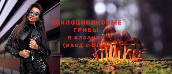 ешки Волосово